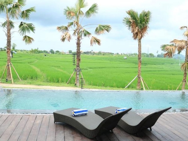 Imagen general del Hotel Kampung Canggu. Foto 1