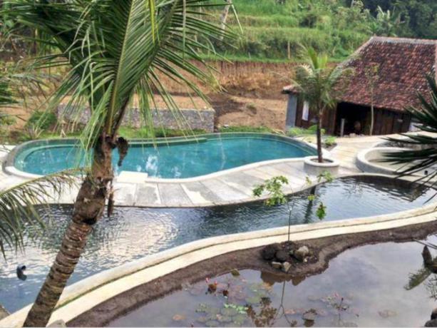Imagen de la piscina del Hotel Kampung Lumbung Boutique Hotel. Foto 5