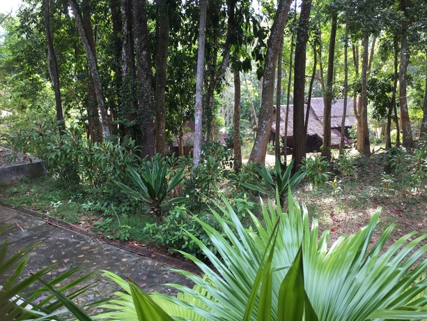 Imagen de los exteriores del Hotel Kampung Tok Senik Resort. Foto 6