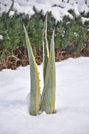 Imagen general del Hotel Kanajt. Foto 14