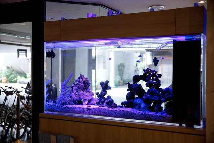 Imagen de los interiores del Hotel Kanazawa Station. Foto 13