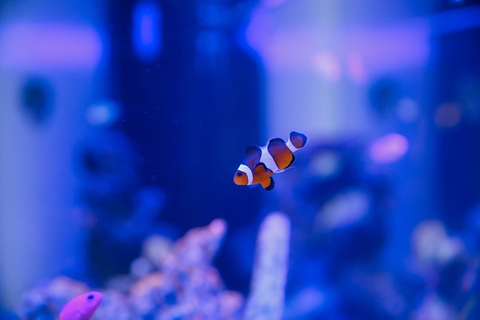 Imagen de los interiores del Hotel Kanazawa Station. Foto 14