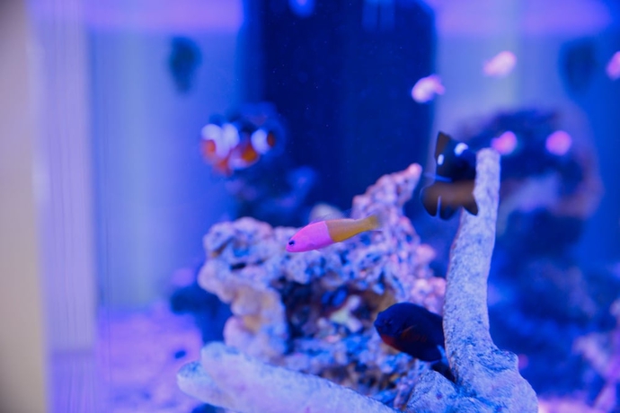 Imagen de los interiores del Hotel Kanazawa Station. Foto 16