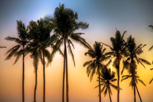 Imagen general del Hotel Kandaya Resort. Foto 4