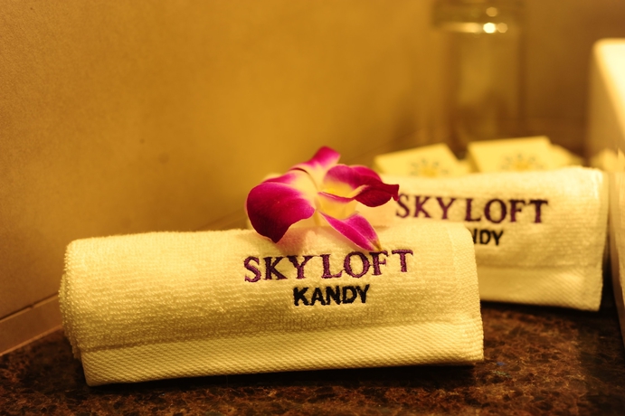 Imagen de la habitación del Hotel Kandy Skyloft. Foto 13