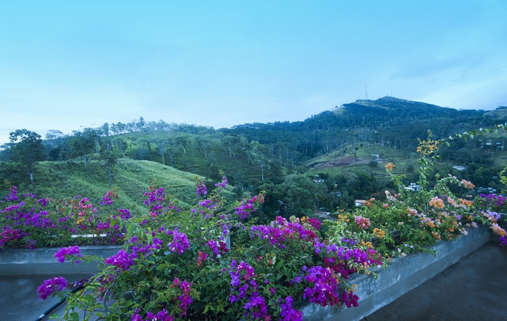 Imagen general del Hotel Kandy Skyloft. Foto 3
