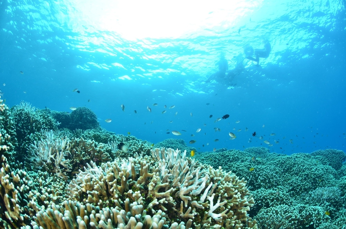 Imagen general del Hotel Kanehide Kise Beach Palace. Foto 2