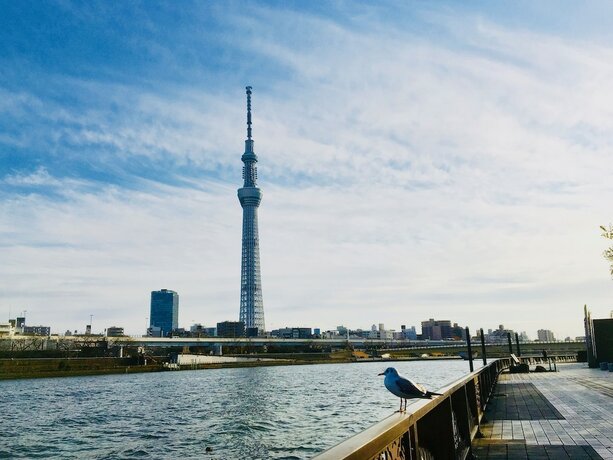 Imagen general del Hotel Kangaroo Side B. Foto 3