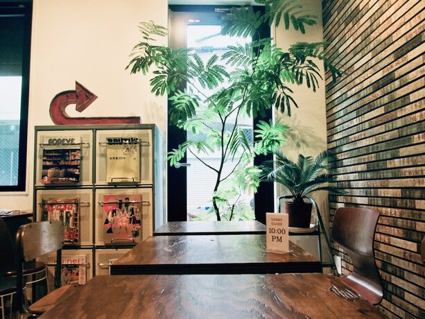 Imagen general del Hotel Kangaroo Side B. Foto 6