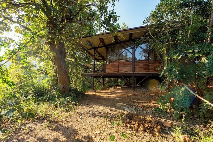 Imagen de la habitación del Hotel Kanha Jungle Camp. Foto 16