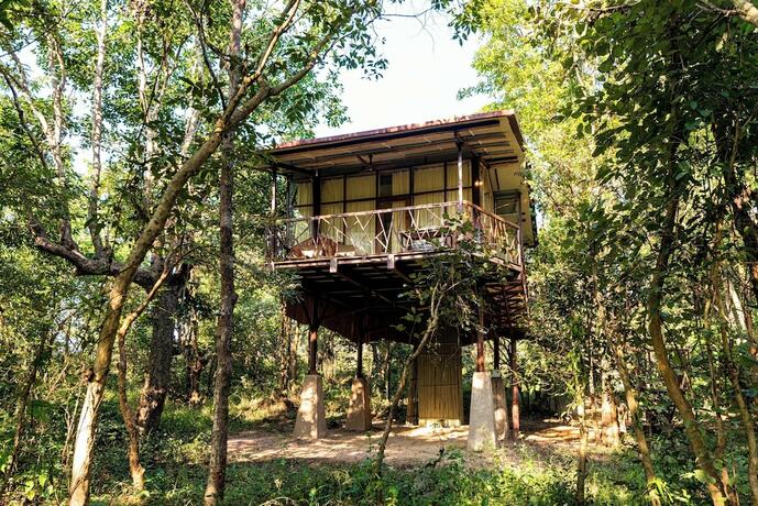 Imagen de la habitación del Hotel Kanha Jungle Camp. Foto 17