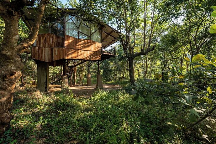 Imagen de la habitación del Hotel Kanha Jungle Camp. Foto 18