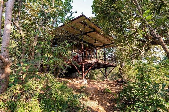 Imagen de la habitación del Hotel Kanha Jungle Camp. Foto 20