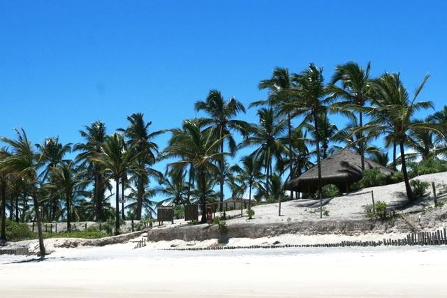 Imagen general del Hotel Kani-Resort. Foto 6