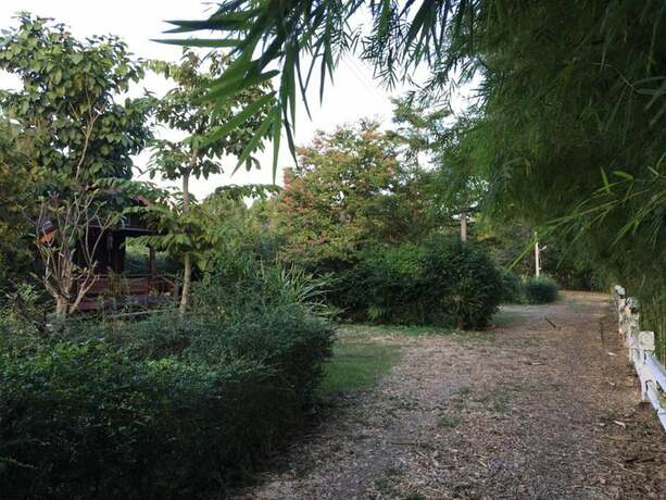 Imagen general del Hotel Kannawat Resort. Foto 11