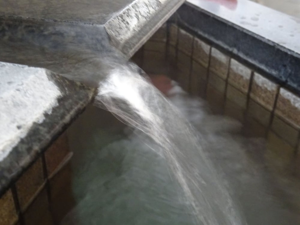 Imagen general del Hotel Kanponoyado Hita. Foto 3