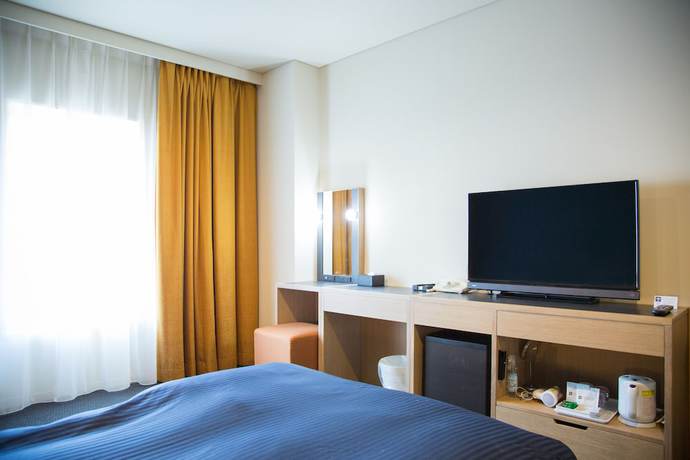 Imagen de la habitación del Hotel Kansai Airport Washington. Foto 9