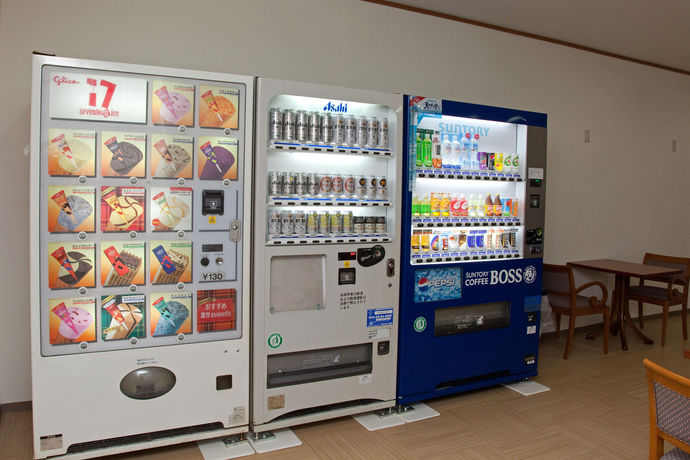 Imagen de los interiores del Hotel Kansai. Foto 11