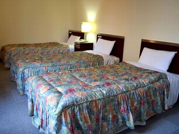 Imagen de la habitación del Hotel Kansai. Foto 8