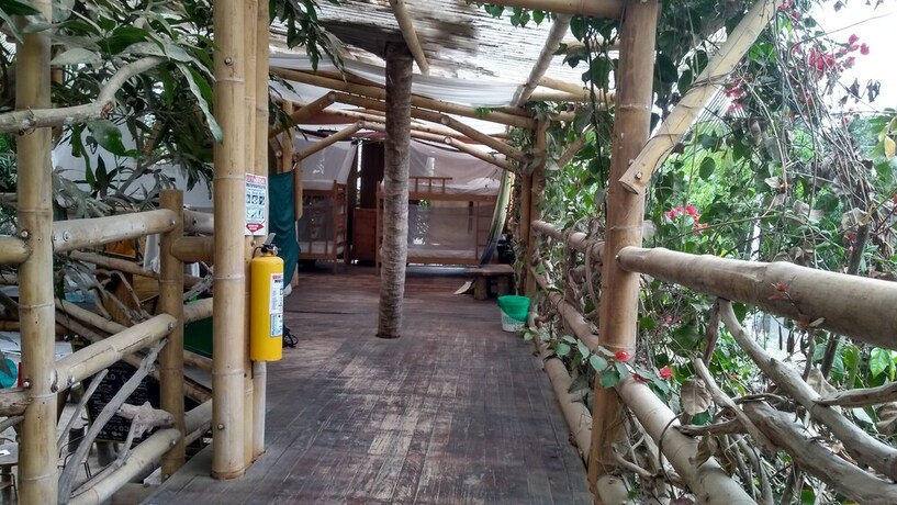 Imagen de la habitación del Hotel Kanta Sana. Foto 26