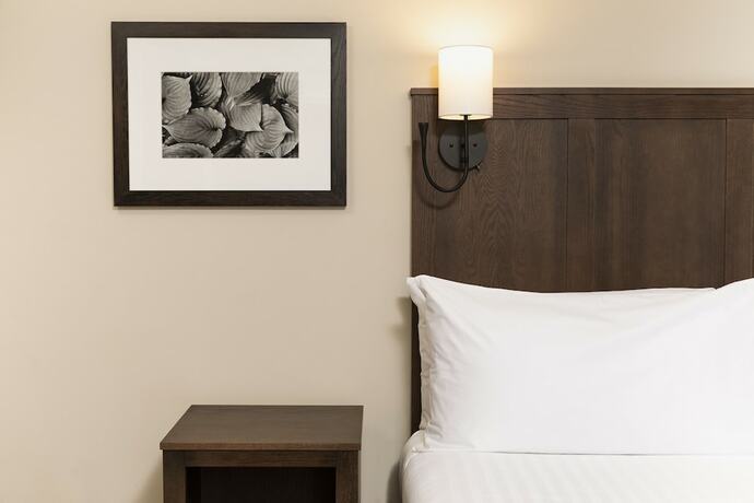 Imagen de la habitación del Hotel Kanuga Inn and Lodging. Foto 12