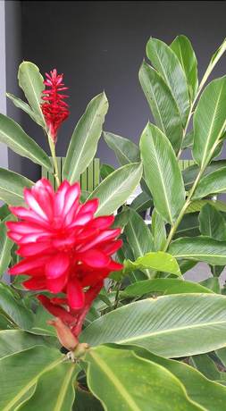 Imagen de los interiores del Hotel Kanvela Resort. Foto 15