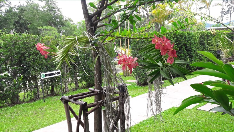Imagen de los interiores del Hotel Kanvela Resort. Foto 17