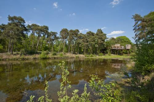Imagen de la habitación del Hotel Kapellerput. Foto 10