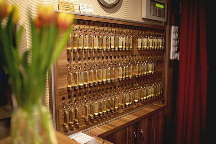 Imagen general del Hotel Kapos. Foto 12