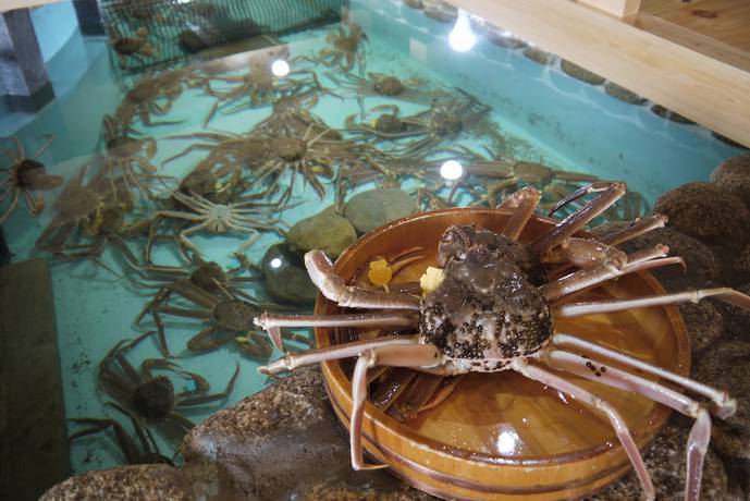 Imagen del bar/restaurante del Hotel Kappo Ishimaru. Foto 13