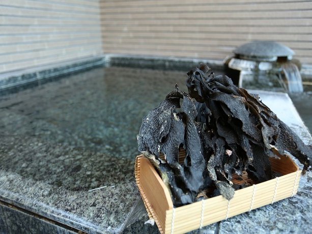 Imagen general del Hotel Kappo Ishimaru. Foto 2