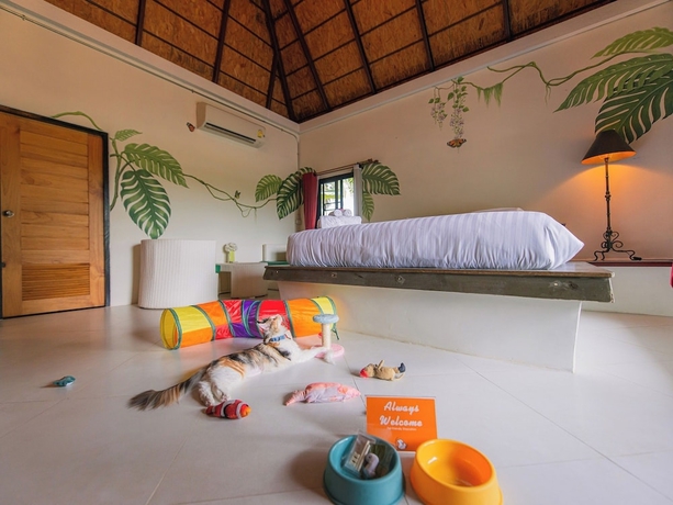 Imagen de la habitación del Hotel Karaboon Wellness. Foto 13