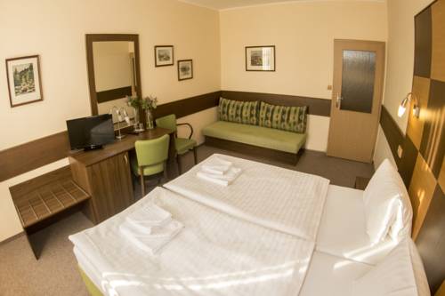 Imagen de la habitación del Hotel Karel Iv.. Foto 9