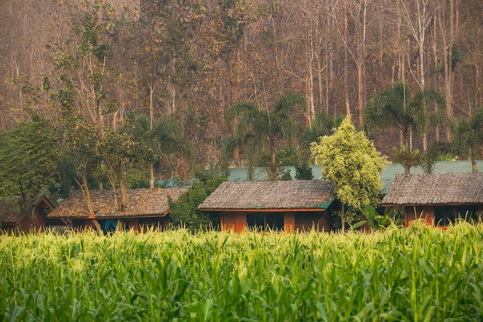 Imagen de los exteriores del Hotel Karen Eco Lodge. Foto 12