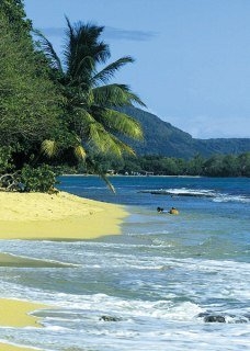 Imagen de los exteriores del Hotel Karibea Sainte Luce. Foto 4