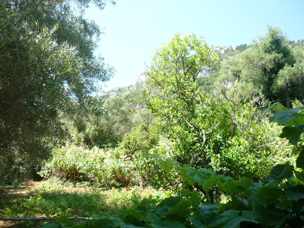 Imagen de los exteriores del Hotel Karina, Benitses. Foto 8