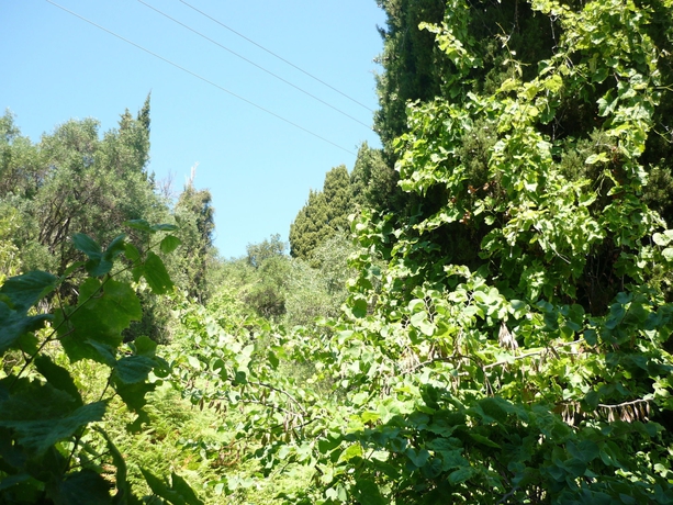 Imagen de los exteriores del Hotel Karina, Benitses. Foto 9