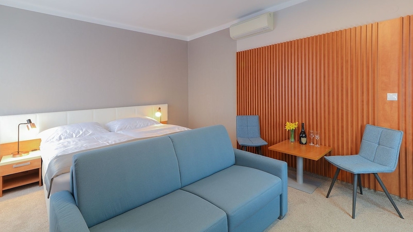 Imagen de la habitación del Hotel Karpatia. Foto 7