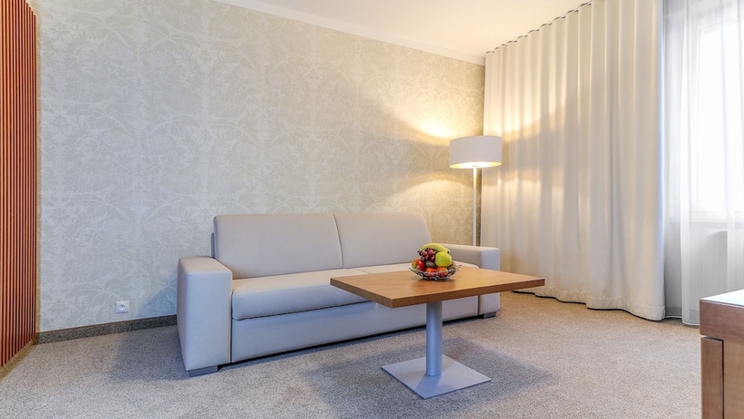 Imagen de la habitación del Hotel Karpatia. Foto 11