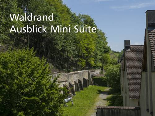 Imagen de la habitación del Hotel Kartause Ittingen. Foto 5