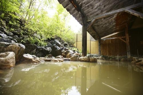 Imagen de la habitación del Hotel Karuizawa Club Hotel Karuizawa 1130 / Hewitt Resort. Foto 8