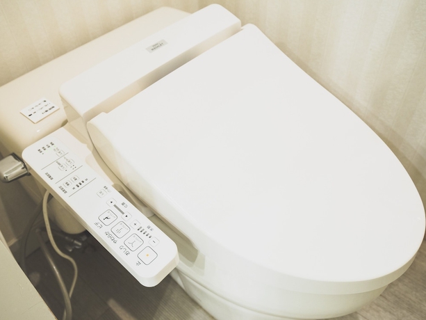 Imagen de la habitación del Hotel Karuizawa Elegance. Foto 4