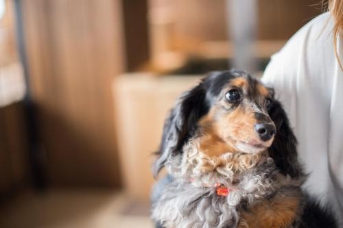 Imagen de la habitación del Hotel Karuizawa Marriott. Foto 10