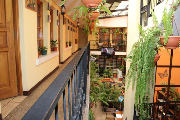 Imagen de los interiores del Hotel Kasa Kamelot. Foto 16