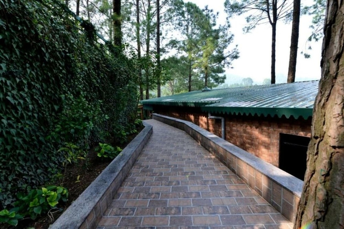 Imagen de los interiores del Hotel Kasauli Hills Resort. Foto 14