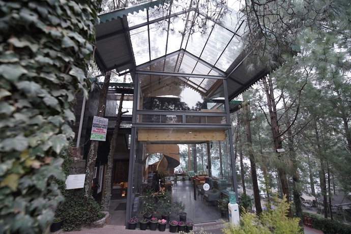 Imagen de los interiores del Hotel Kasauli Hills Resort. Foto 15