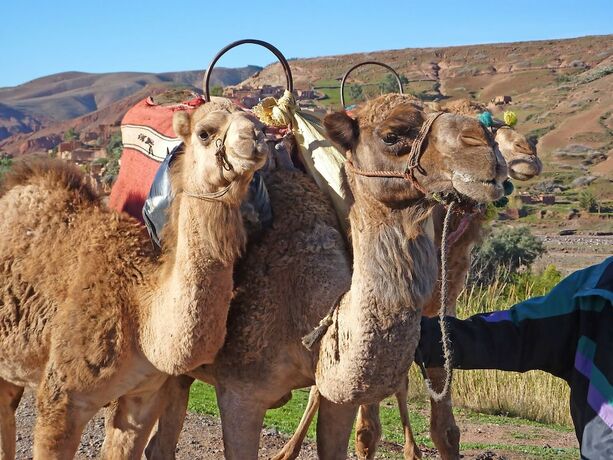 Imagen general del Hotel Kasbah Angour, Aghouatim. Foto 3