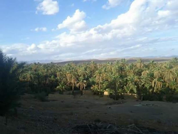 Imagen del bar/restaurante del Hotel Kasbah Ennakb. Foto 8