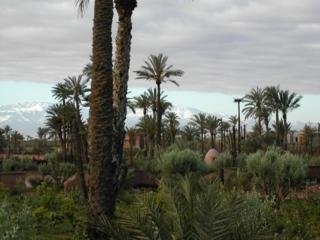 Imagen general del Hotel Kasbah Tiwaline. Foto 3