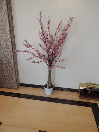 Imagen de los interiores del Hotel Kashish International. Foto 12